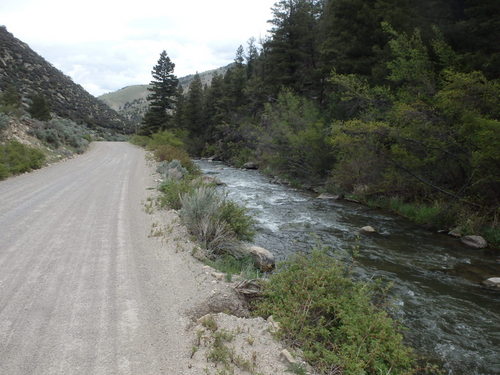 GDMBR: Riding along Sheep Creek.